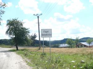 imagine-articol0_42574