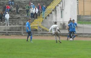 imagine-articol0_42585