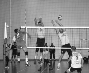 imagine-articol0_42586