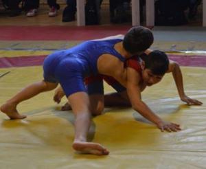 imagine-articol0_42644