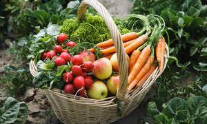 imagine-articol0_42656