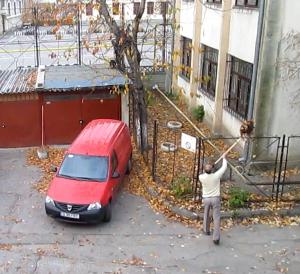 imagine-articol0_42725