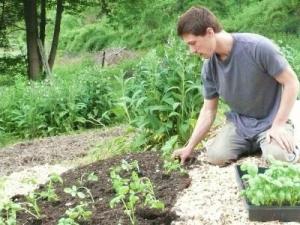 imagine-articol0_42741