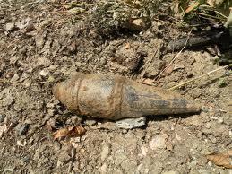 imagine-articol0_42762