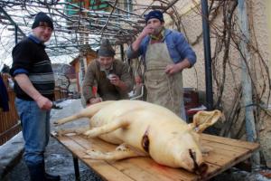 imagine-articol0_42764