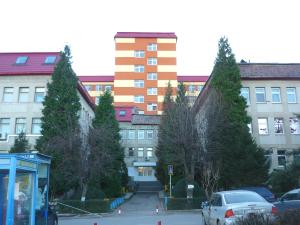 imagine-articol0_42778