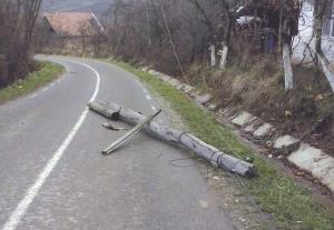 imagine-articol0_42787