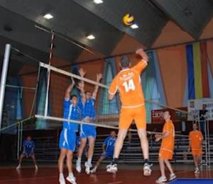 imagine-articol0_42832