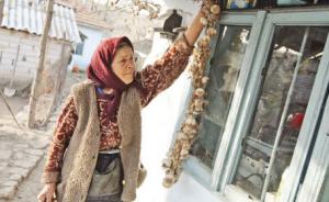 imagine-articol0_42877