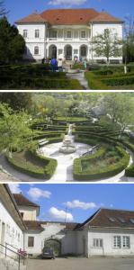 imagine-articol0_42895