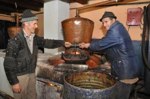 imagine-articol0_42912