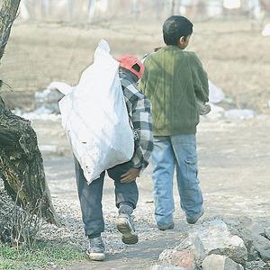 imagine-articol0_42923