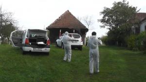 imagine-articol0_42939