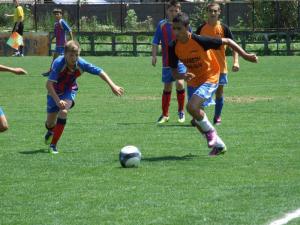 imagine-articol0_42946