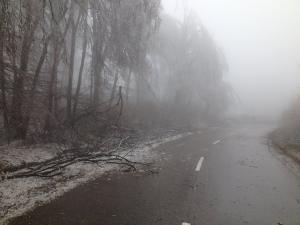 imagine-articol0_42961