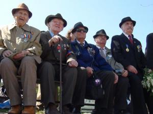 imagine-articol0_42963