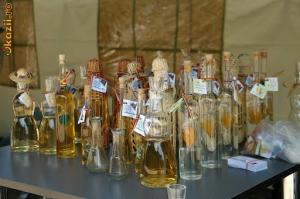 imagine-articol0_42994