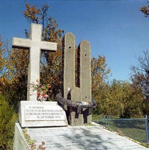 imagine-articol0_42996