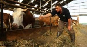 imagine-articol0_43018