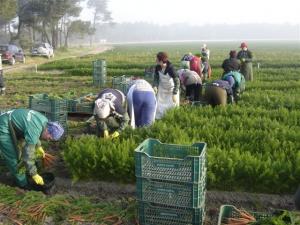 imagine-articol0_43120