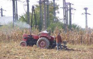 imagine-articol0_43122