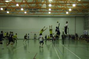 imagine-articol0_43204