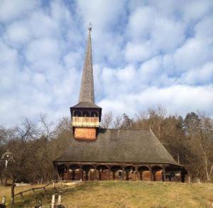 imagine-articol0_43282