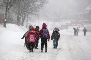 imagine-articol0_43303