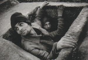 imagine-articol0_43304