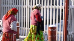 imagine-articol0_43356