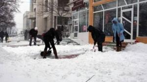 imagine-articol0_43362