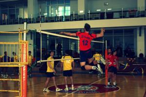 imagine-articol0_43367