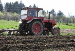 imagine-articol0_43382