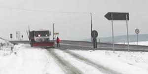 imagine-articol0_43395