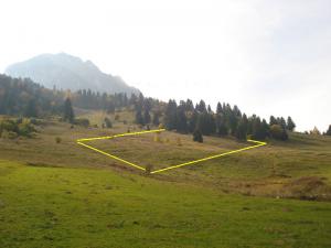 imagine-articol0_43499