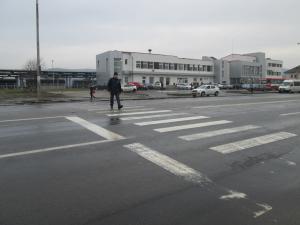 imagine-articol0_43536