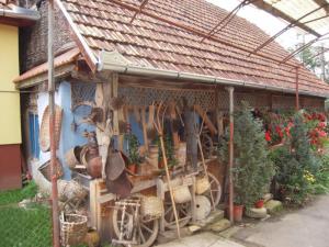 imagine-articol0_43608