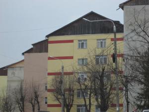 imagine-articol0_43610