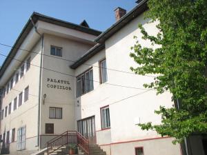 imagine-articol0_43611