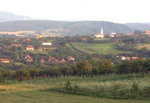 imagine-articol0_43634