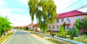 imagine-articol0_43650