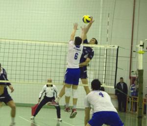 imagine-articol0_43683