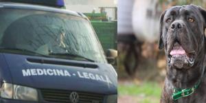 imagine-articol0_43684