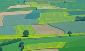 imagine-articol0_43698