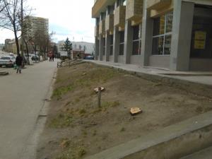 imagine-articol0_43700