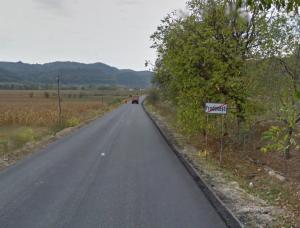 imagine-articol0_43739