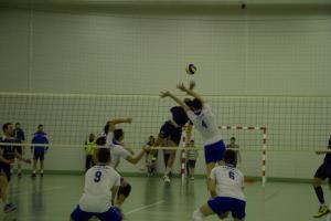 imagine-articol0_43768