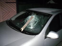 imagine-articol0_43832