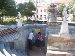 imagine-articol0_43835