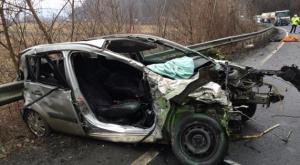 imagine-articol0_43856